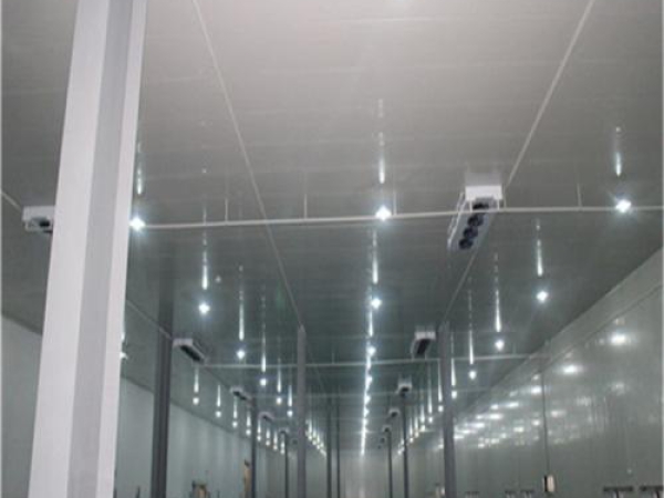 建造安裝食品低溫冷藏庫(kù)有哪些因素影響造價(jià)？